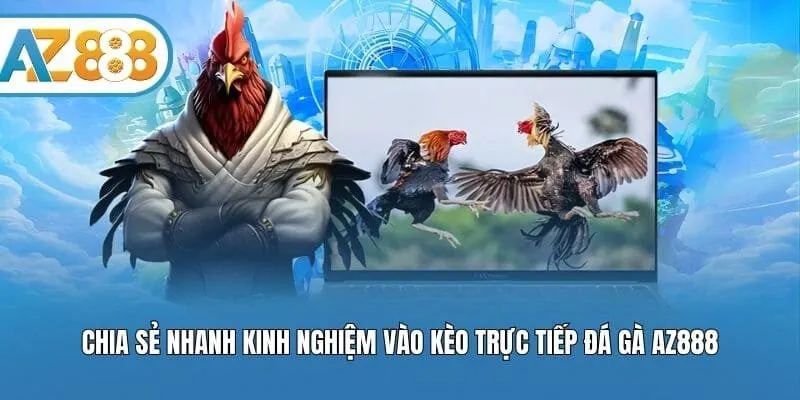 Chia sẻ nhanh kinh nghiệm vào kèo trực tiếp đá gà AZ888